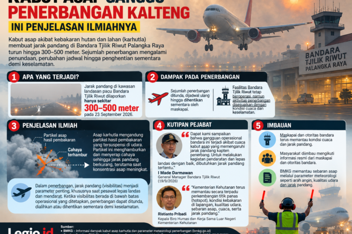 Kabut Asap Ganggu Penerbangan Kalteng, Ini Penjelasan Ilmiahnya