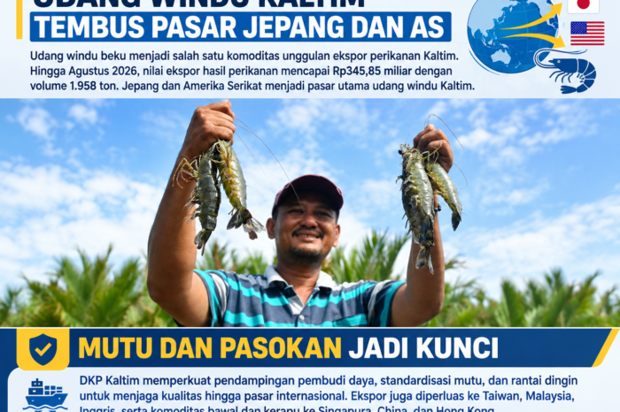 Ekspor udang windu Kaltim tembus pasar Jepang dan AS