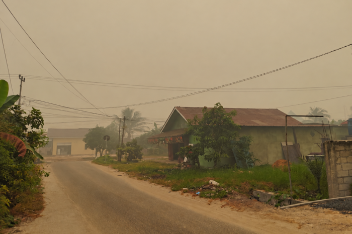 Kualitas Udara Palangka Raya Memburuk, PM2.5 Tembus 1.572,7 µg/m³