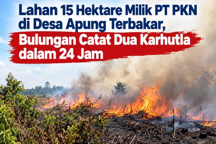 Lahan 15 Hektare Milik PT PKN di Desa Apung Terbakar, Bulungan Catat Dua Karhutla dalam 24 Jam