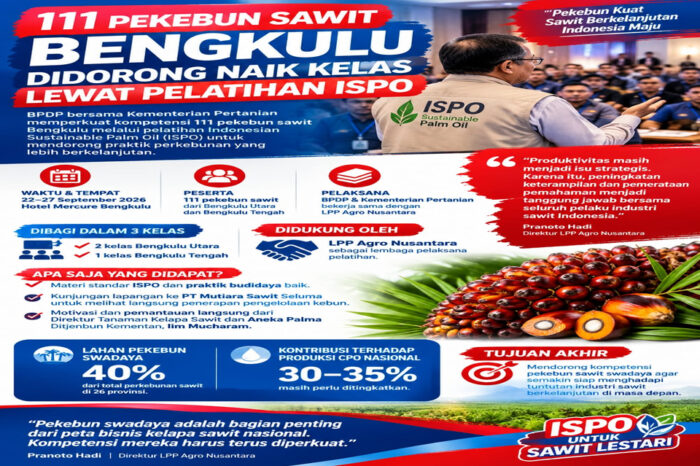 Pekebun sawit di Bengkulu ditargetkan naik kelas lewat ISPO