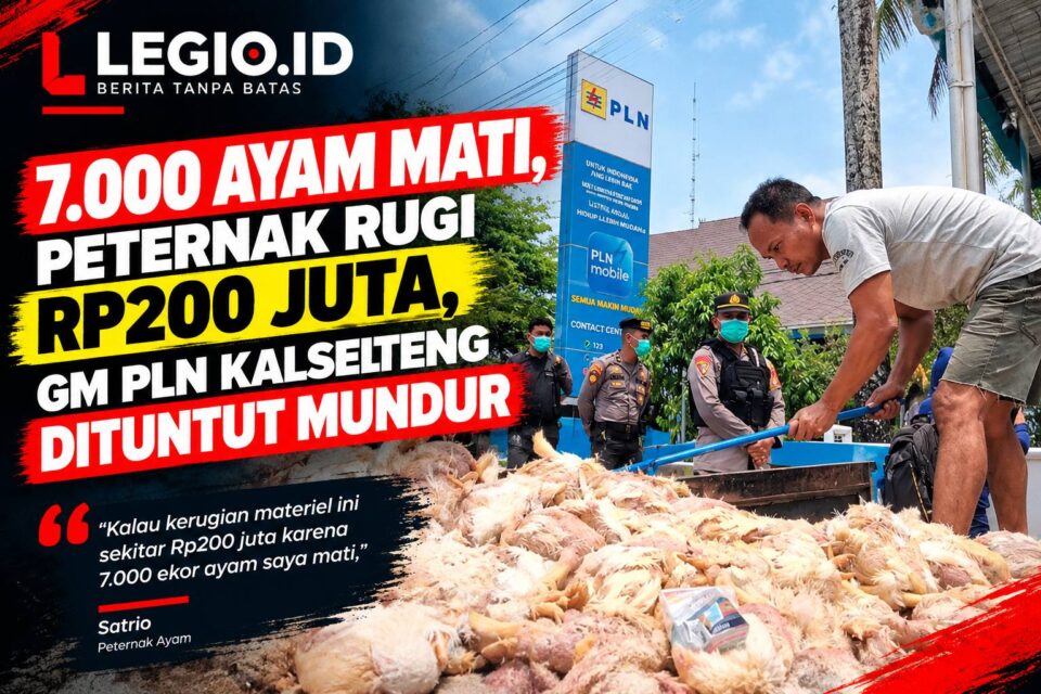 Ilustrasi bangkai ayam dibuang di Kantor PLN Palangka Raya.LEGIOID/AI