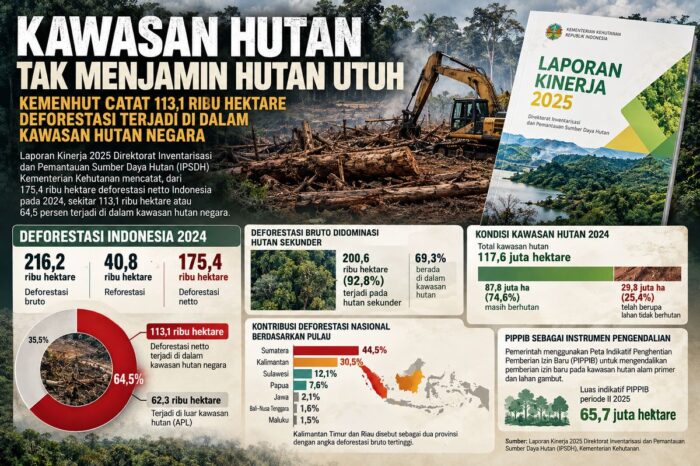 Kawasan Hutan Tak Menjamin Hutan Utuh, Kemenhut Catat 113,1 Ribu Hektare Deforestasi
