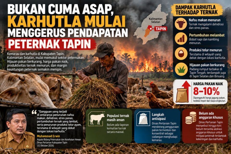dampak asap pada peternak